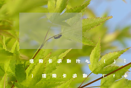 信用卡逾期什么計(jì)算次數(shù)(信用卡逾期費(fèi)用計(jì)算)