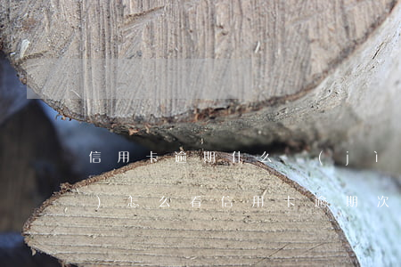 信用卡逾期什么計(jì)算次數(shù)(怎么看信用卡逾期次數(shù))