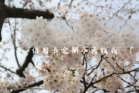 信用卡逾期今天找我說(shuō)必須還款