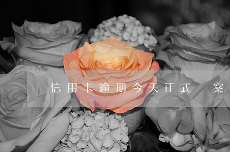 信用卡逾期今天正式備案(不小心信用卡逾期)