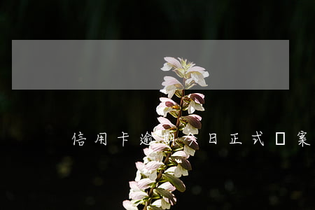 信用卡逾期今日正式備案