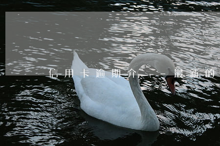 信用卡逾期介紹-最新的信用卡逾期處理