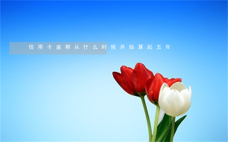 信用卡逾期从什么时候开始算起五年