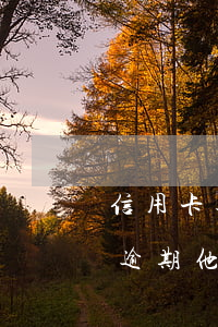 信用卡逾期他能查到我名下负债吗-信用卡逾期他能查到我名下负债吗知乎