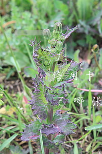 信用卡逾期他能查到我名下负债吗(怎么查自己哪张信用卡逾期了)