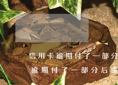 信用卡逾期付了一部分后還能用嗎-信用卡逾期付了一部分后還能用嗎安全嗎
