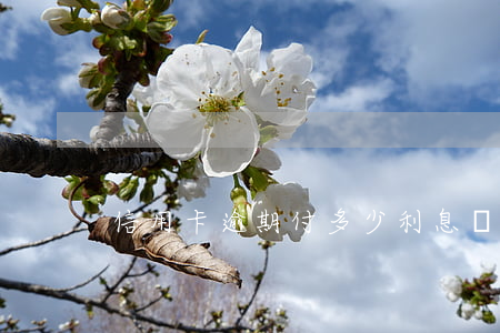 信用卡逾期付多少利息會(huì)被起訴