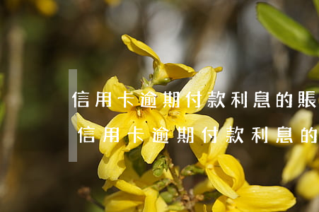 信用卡逾期付款利息的賬務(wù)處理-信用卡逾期付款利息的賬務(wù)處理方法