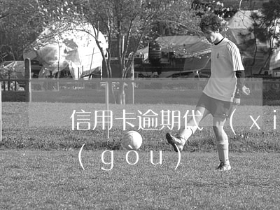 信用卡逾期代協(xié)商機(jī)構(gòu)