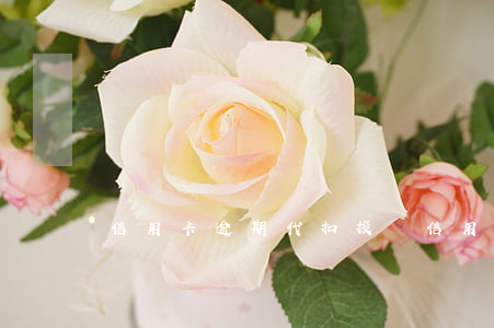 信用卡逾期代扣投訴(信用卡逾期代扣投訴)
