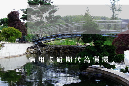 信用卡逾期代為償還