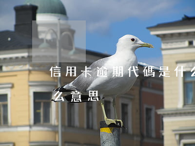 信用卡逾期代碼是什么情況(貸款卡逾期是什么意思)