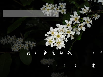 信用卡逾期代碼級(jí)別 信用卡逾期代碼級(jí)別高