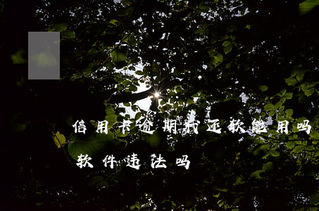 信用卡逾期代还软能用吗(所有的代还信用卡软件违法吗?)
