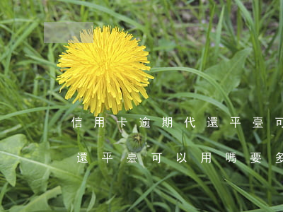 信用卡逾期代還平臺可以用嗎 信用卡逾期代還平臺可以用嗎要多少錢