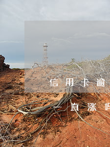 信用卡逾期以后会利滚利吗(欠信用卡利息会一直涨吗?)