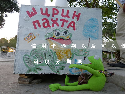 信用卡逾期以后可以做分期嗎(逾期的信用卡可以分期嗎)