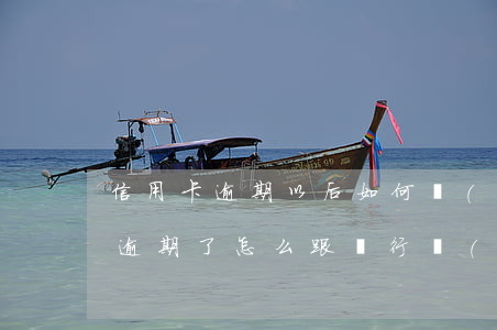 信用卡逾期以后如何協(xié)商(信用卡逾期了怎么跟銀行協(xié)商解決)