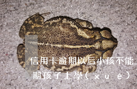 信用卡逾期以后小孩不能上學(xué) 逾期孩子上學(xué)受影響嗎