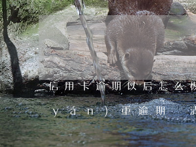 信用卡逾期以后怎么恢復(fù)正常(嚴(yán)重逾期還清后申請(qǐng)信用卡)