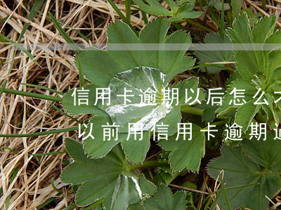 信用卡逾期以后怎么才能繼續(xù)使用 以前用信用卡逾期過了為什么還能辦信用卡