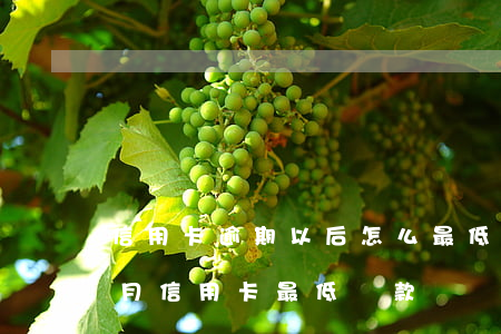 信用卡逾期以后怎么最低還款(上個(gè)月信用卡最低還款,這個(gè)月如何還)