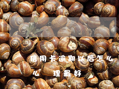 信用卡逾期以后怎么處理(信用卡逾期以后怎么處理最好)