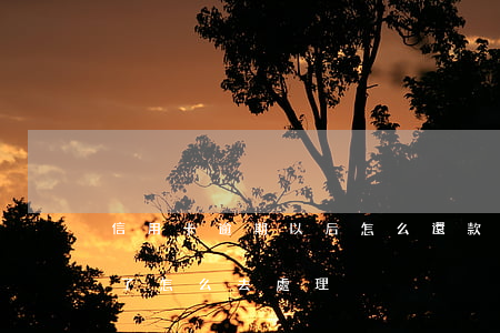 信用卡逾期以后怎么還款(信用卡逾期了還完了怎么去處理)