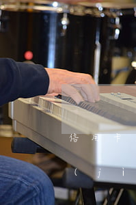 信用卡逾期以后扣除利息(信用卡逾期利息計(jì)算)