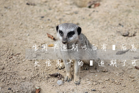 信用卡逾期以后有錢后怎么協(xié)商 欠信用卡的錢逾期了可以慢慢還嗎