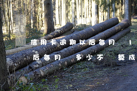 信用卡逾期以后每月還100(信用卡逾期以后每月還多少不會算成惡意透支)