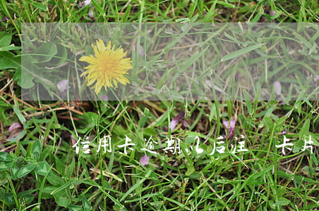 信用卡逾期以后注銷卡片