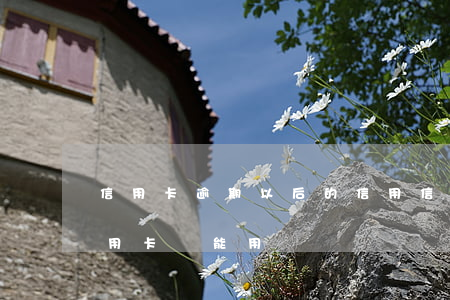 信用卡逾期以后的信用(信用卡逾期以后的信用卡還能用)