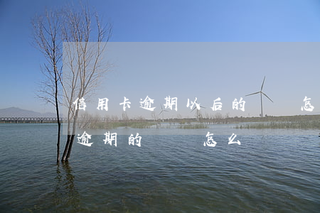 信用卡逾期以后的債務怎么處理(欠信用卡錢逾期的話會怎么樣?)