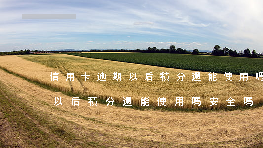 信用卡逾期以后積分還能使用嗎(信用卡逾期以后積分還能使用嗎安全嗎)