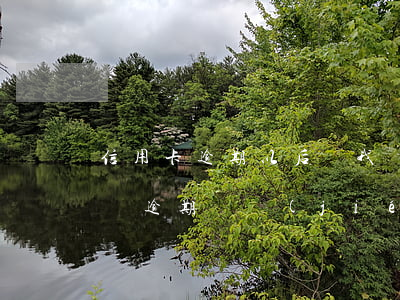 信用卡逾期以后給我凍結(jié)了怎么辦(逾期凍結(jié)的信用卡需要注銷么)