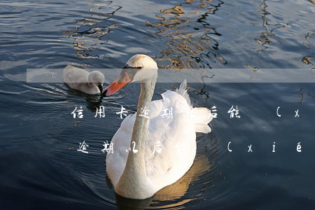 信用卡逾期以后能協(xié)商么(信用卡逾期以后能協(xié)商么)