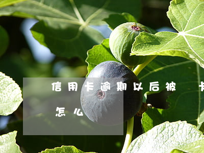 信用卡逾期以后被銷卡(有信用卡欠款被銷卡怎么辦)