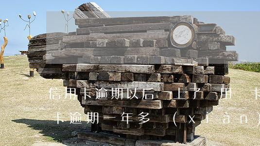 信用卡逾期以后還上了還用銷卡么-我信用卡逾期一年多現(xiàn)在還掉了還可以用嗎