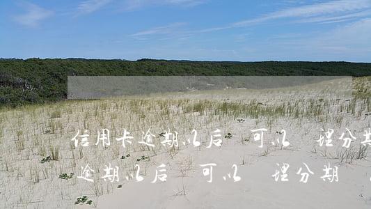 信用卡逾期以后還可以辦理分期嗎-信用卡逾期以后還可以辦理分期嗎怎么辦