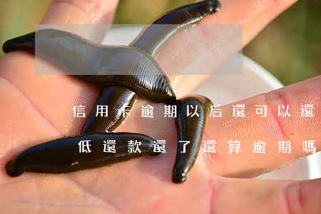 信用卡逾期以后還可以還最低嗎(把信用卡最低還款還了還算逾期嗎)