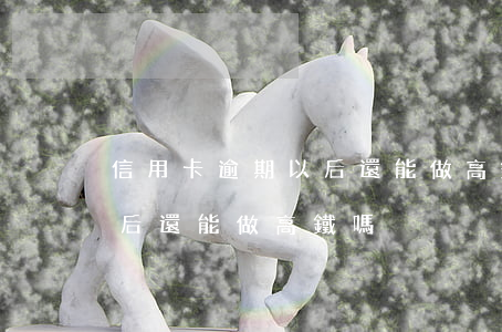 信用卡逾期以后還能做高鐵嗎（信用卡逾期以后還能做高鐵嗎）