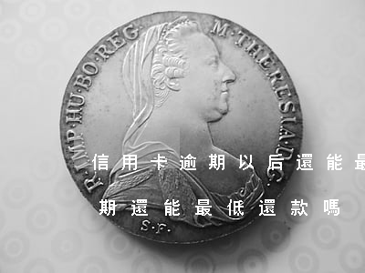 信用卡逾期以后還能最低還款嗎-信用卡逾期還能最低還款嗎?