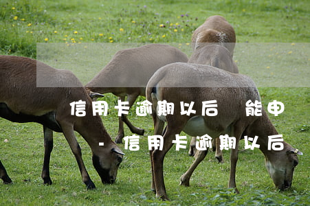 信用卡逾期以后還能申請(qǐng)分期嗎-信用卡逾期以后還能申請(qǐng)分期嗎怎么辦