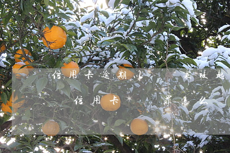 信用卡逾期以詐騙案被起訴怎么辦(被銀行起訴信用卡詐騙罪怎么辦)