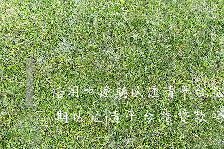 信用卡逾期以还清平台能贷款吗-信用卡逾期以还清平台能贷款吗安全吗