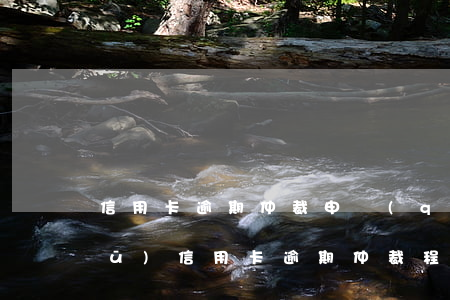 信用卡逾期仲裁申請(qǐng)書(shū)(信用卡逾期仲裁程序是什么)