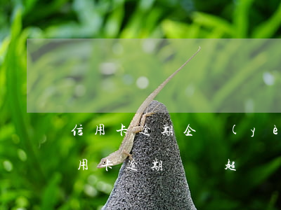 信用卡逾期企業(yè)(企業(yè)主信用卡逾期記錄超過)