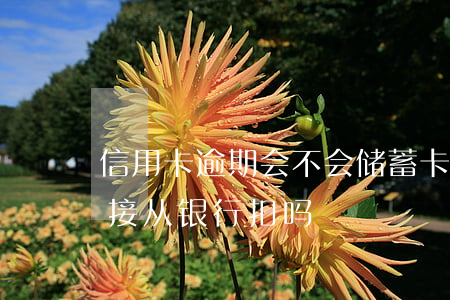 信用卡逾期会不会储蓄卡里扣(欠信用卡会直接从银行扣吗)