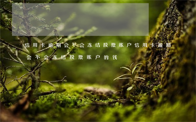 信用卡逾期会不会冻结股票账户(信用卡逾期会不会冻结股票账户的钱)
